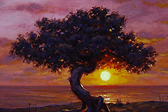 Divi Divi (oil on canvas)