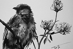 Bird and Flowers (pen stipple)