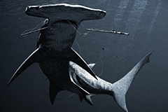 The Big One That Got Away (charcoal)