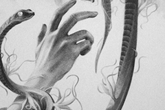 Life and Death - Part 2 (charcoal and graphite)