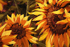 Auntie's Sunflowers (oil on canvas)