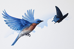 Blue Chase (colored pencil)