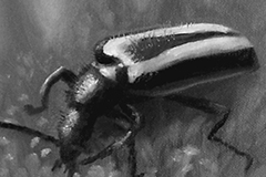 Eye of the Beholder (oil on canvas)