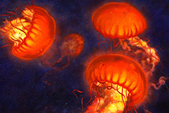 Lanterns of the Deep (oil on canvas)