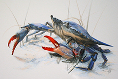 Relentless (colored pencil and sculpture)